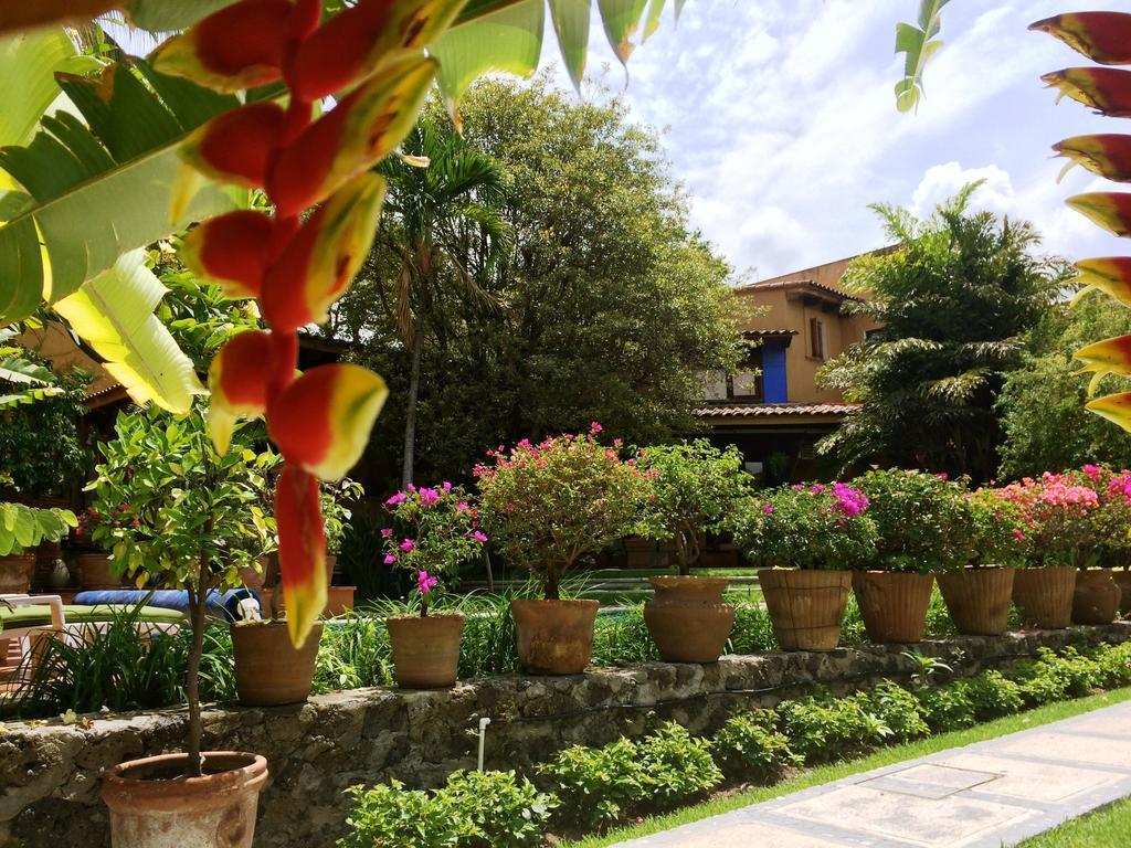 Orchidelirium Casa Hotel & Salud Estetica Cuernavaca Zimmer foto