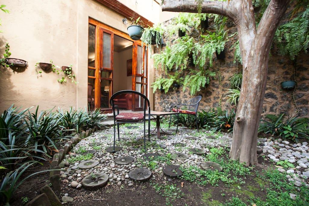 Orchidelirium Casa Hotel & Salud Estetica Cuernavaca Exterior foto